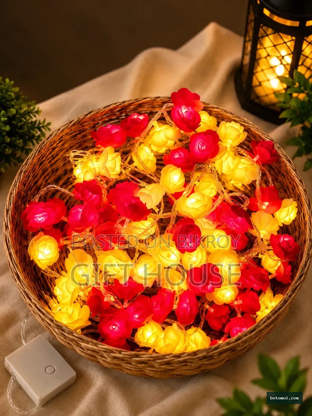 Special Lighting Combo Offer