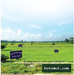 Buy a 03 katha plot at an affordable price